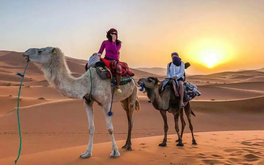 Travellers on camels at sunset in Erg Chebbi