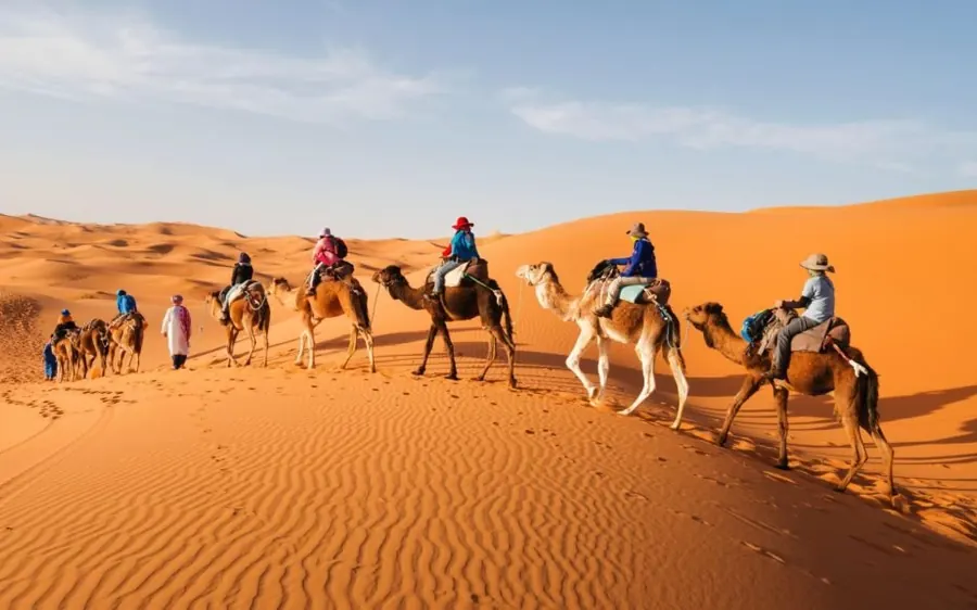 A camel caravan crossing the dunes of Merzouga