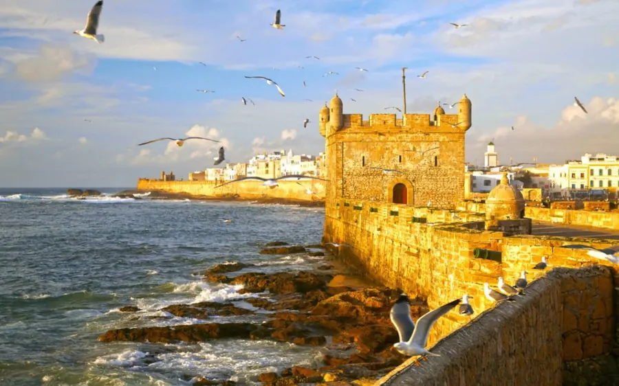 The sea ramparts of Essaouira with gulls overhead