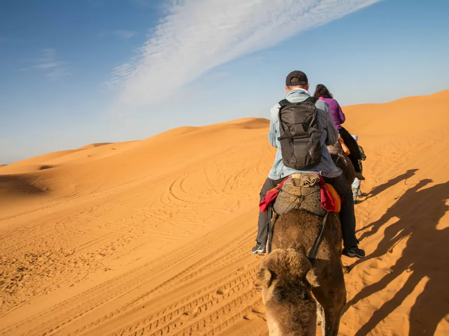 Travellers riding camels in a line over the Merzouga dunes