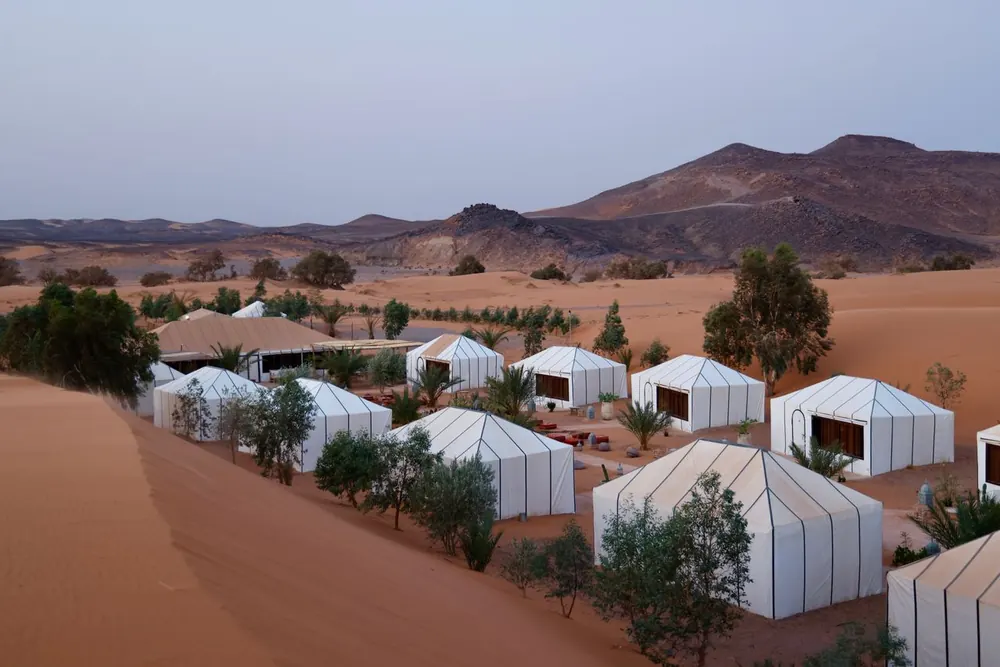 White tents of a desert camp among the dunes and trees of Erg Chebbi