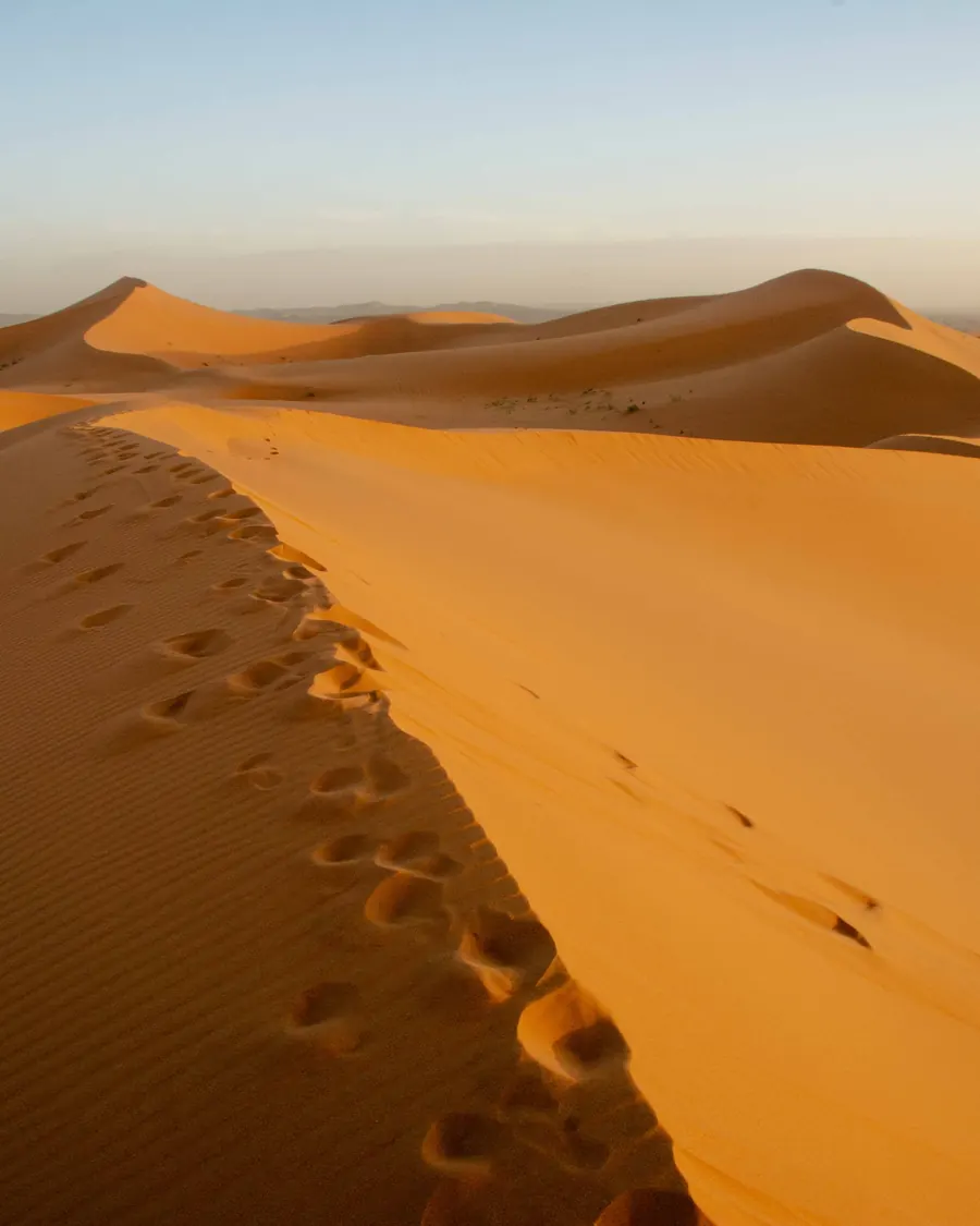 Footprints along a sharp dune ridge in Erg Chebbi, Merzouga