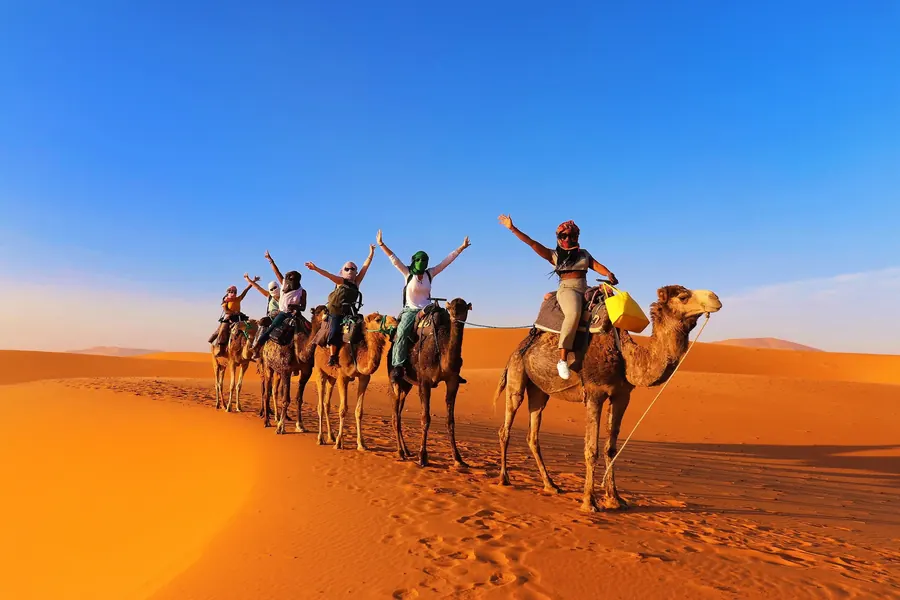 Travellers on camels waving on a dune in Merzouga
