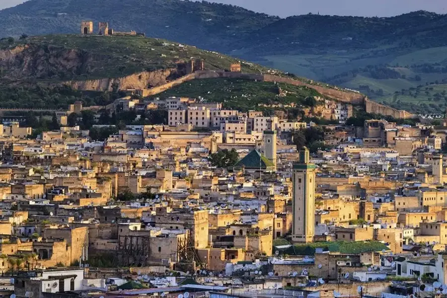 A panoramic view over the medina of Fes