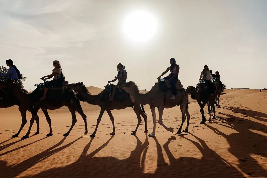 Riders on camels casting long shadows across the sand