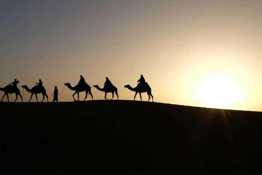 A camel caravan in silhouette on a dune ridge as the sun rises over Erg Chebbi
