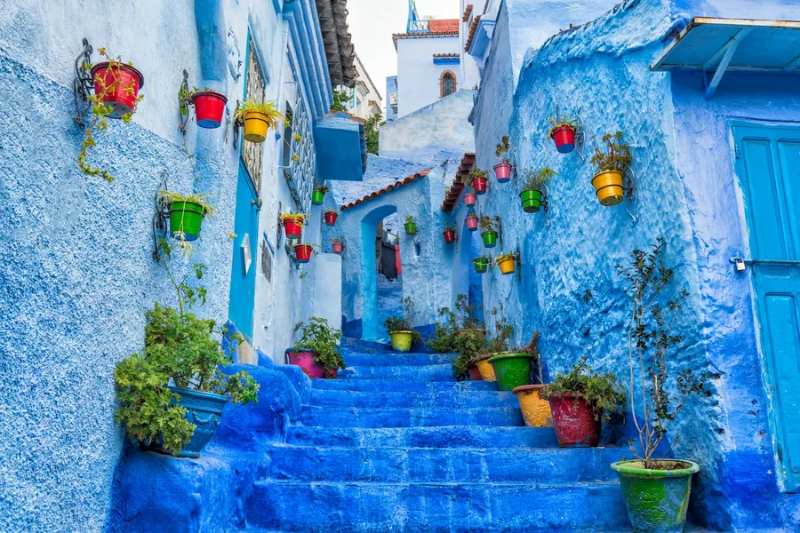 Blue-washed steps and flower pots in a lane of Chefchaouen