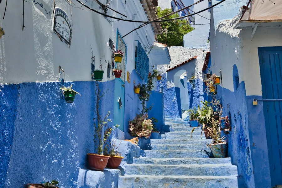 Blue steps lined with flower pots in the medina of Chefchaouen