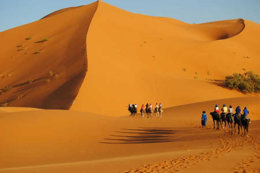A camel caravan crossing beneath a high dune in Erg Chebbi