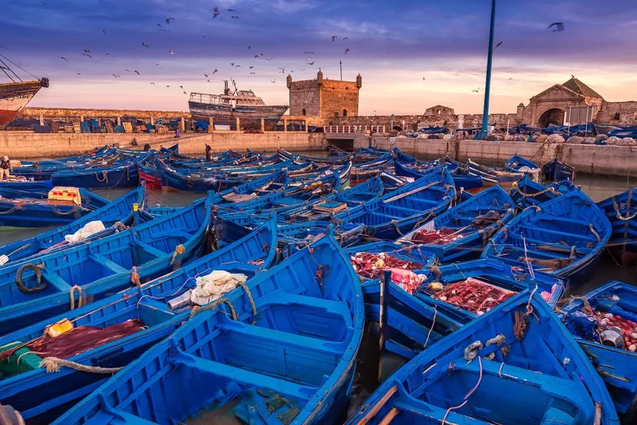 Blue fishing boats moored in the harbour of Essaouira