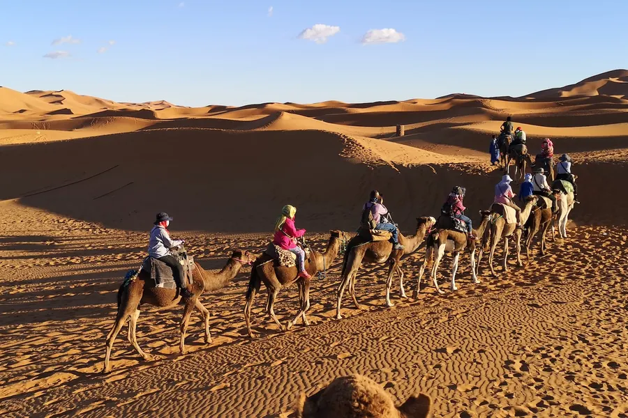 A camel caravan crossing the golden dunes of Erg Chebbi