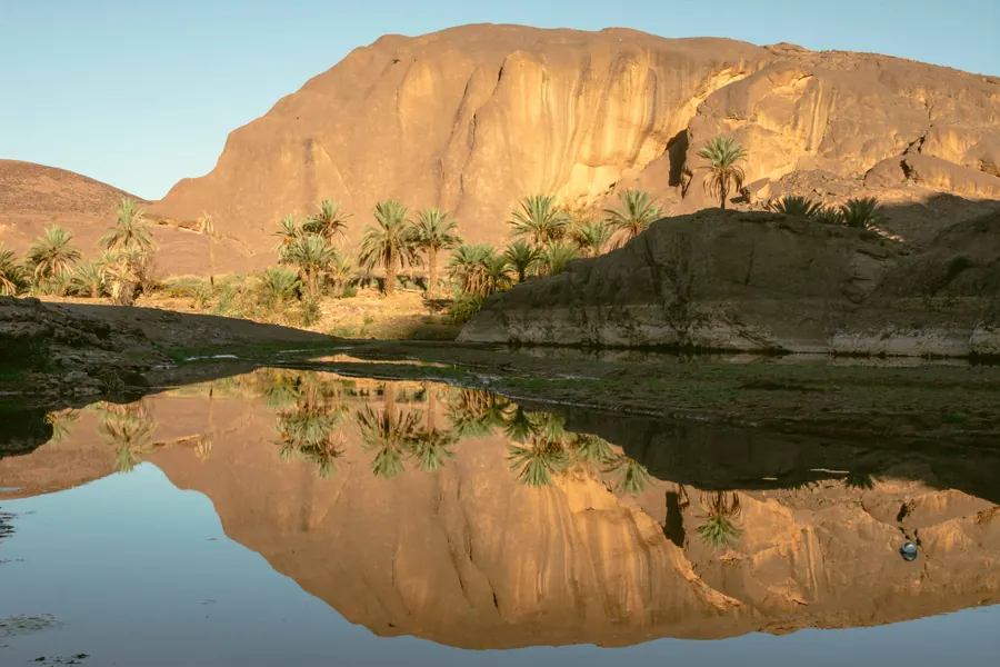 Palm trees and red cliffs reflected in a quiet southern Morocco oasis