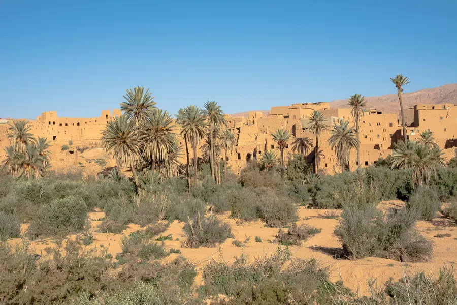 Kasbah Amridil framed by date palms in the Skoura oasis