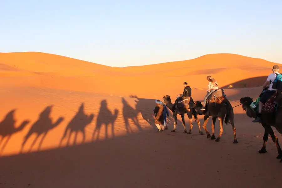 Long camel shadows stretching across the Merzouga dunes at sunset
