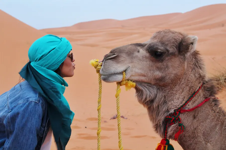 A traveller in a blue turban greeting her camel in the desert
