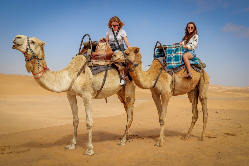 Day and night camel trek in Merzouga